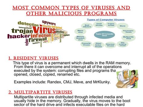 Image result for Computer Virus Infographic