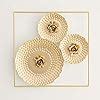 Home Centre Iliano Floral Glass Multi-Plate Wall Art (Gold) : Amazon.in ...