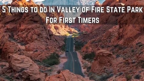 5 Things to do in Valley of Fire State Park For First Timers - wildlife in valley of fire state park
