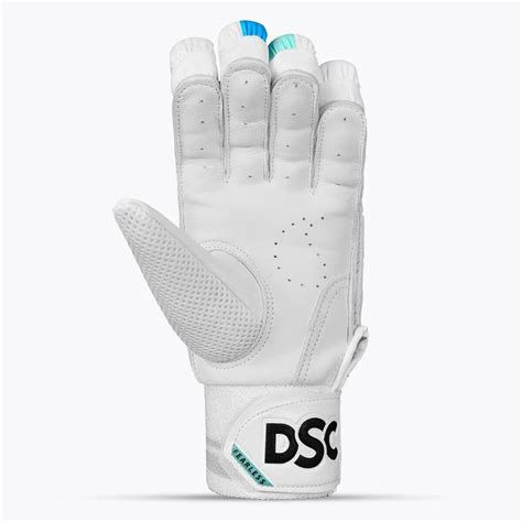 DSC Cynos 2020 Cricket Batting Gloves – Sportswing.in