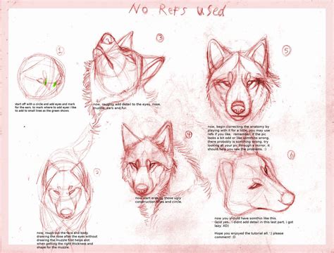 Image result for wolves drawing tutorial