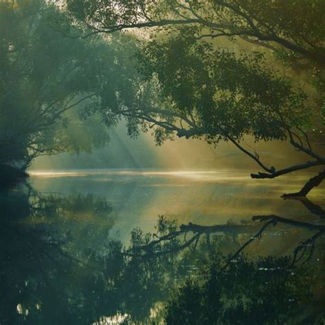 Your guide to the best travel destinations from Delhi & Mumbai | LSA India