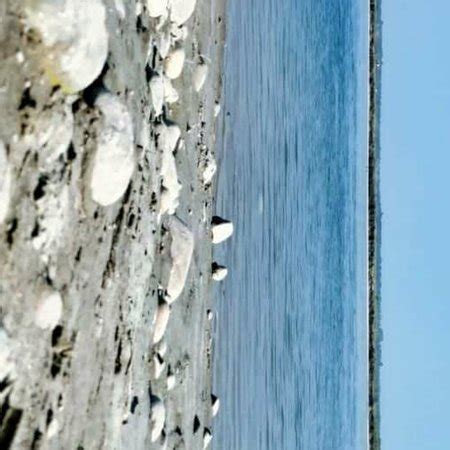 Haridwar District Tourism (2024): All You Need to Know Before You Go
