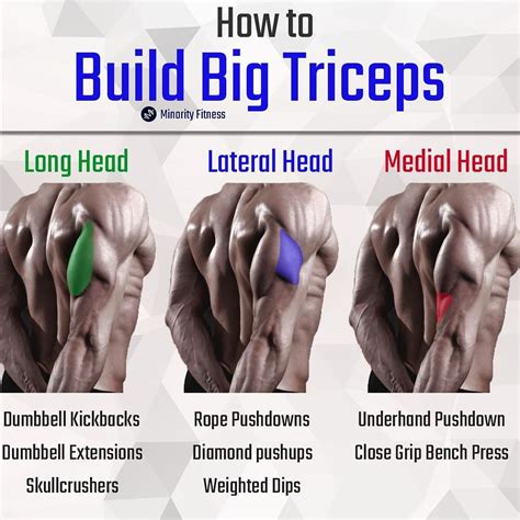 long head tricep exercises - Resourceful Get News