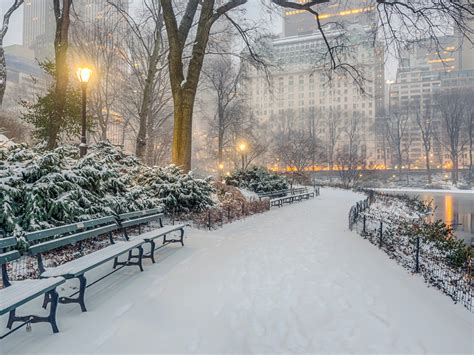 Central Park Winter