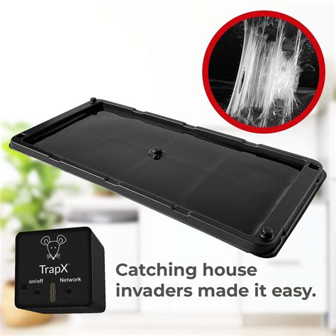 Electronic Mouse Trap Homemade 的图像结果