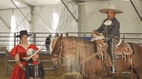 Image result for Python Rodeo Tricks