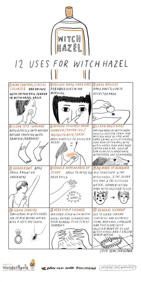 12 Uses for Witch Hazel You Need to Know - LifeHack | Witch hazel uses, Witch hazel for skin ...