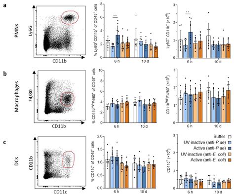 Repetitive Exposure to Bacteriophage Cocktails against Pseudomonas ...