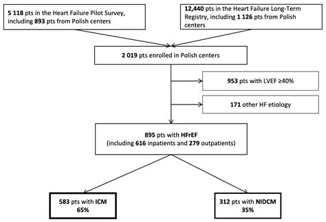 Ischemic Cardiomyopathy versus Non-Ischemic Dilated Cardiomyopathy in Patients with Reduced ...