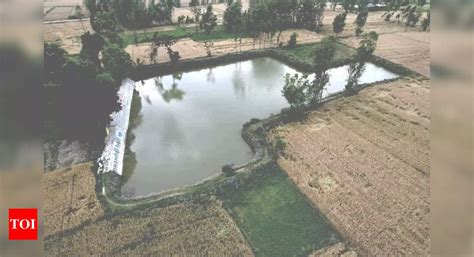 Uttarakhand's US Nagar Leads in Income Generation from Amrit Sarovar ...