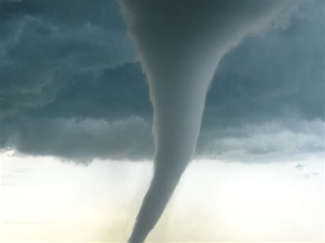 Article Usage Examples 的图像结果