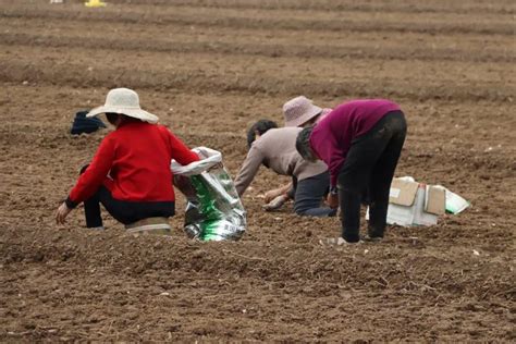 农民工常年在外打工，农村土地会被征收，真的吗？ - 知乎