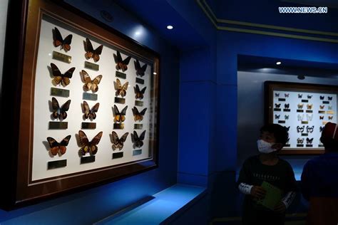 2024上海昆虫博物馆门票,上海上海昆虫博物馆游玩攻略,上海昆虫博物馆游览攻略路线/地址/门票价格-【去哪儿攻略】