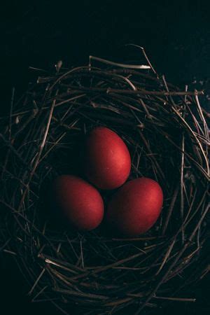 Sparkling red bird eggs