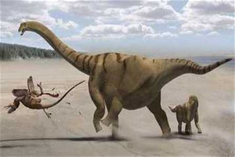 山东莱阳白垩纪国家地质公园（上）恐龙化石博物馆 - 样张 - PConline数码相机样张库