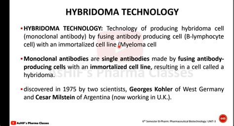6th Semester Pharmaceutical Biotechnology: Hybridoma Technology ...