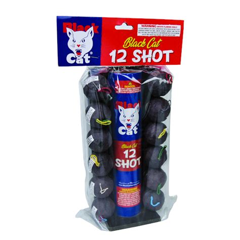 Image result for 12-Inch Firework Shells