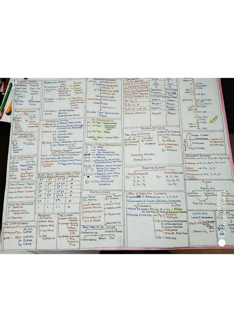 Biology Mind Map 的图像结果