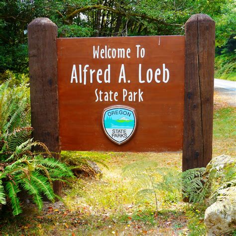Alfred A. Loeb State Park, an Oregon State Park located near Brookings