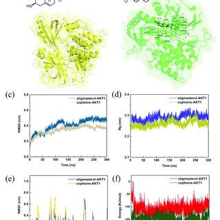 Image result for Molecular Dynamics Simulations Tree