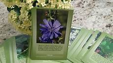 dove si comprano i fiori di bach fiori di bach test fiori di bach cos 232 il test dei dove si comprano i fiori di bach fiori di bach test fiori di bach cos 232 il test dei