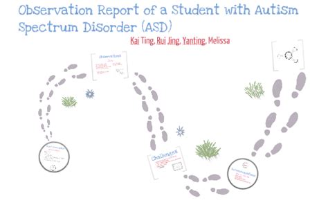 Image result for ASD Observation Example