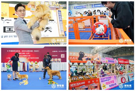 宠博会送什么礼物最新素材