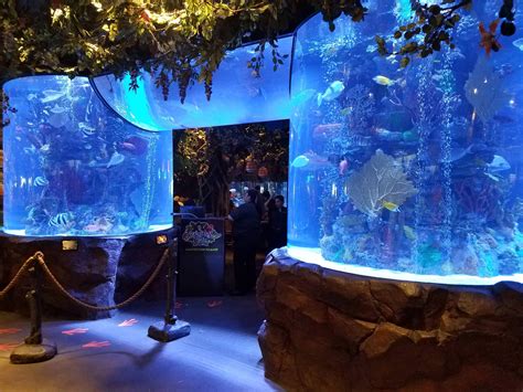 Image result for Alien Containment Unit Subnautica