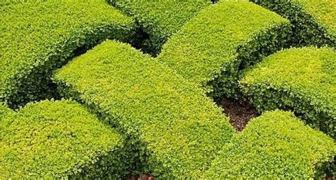 Image result for Cross Hedging Example