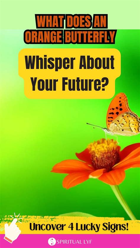 Orange Butterfly Meaning