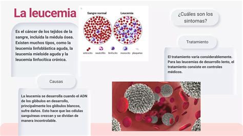 Enfermedades a la sangre.pdf