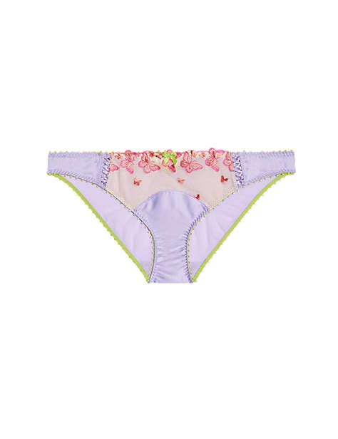 Buy Aurelia Embroidery Bikini Knickers at Marks & Spencer