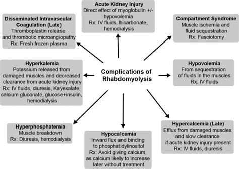 Rhabdomyolysis: Pathogenesis, Diagnosis, and Treatment | Ochsner Journal
