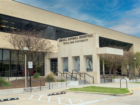 Small Animal Teaching Hospital - Texas A&M Veterinary Medical Teaching ...