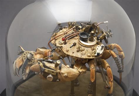 Image result for Giant Insect Lab Gallery