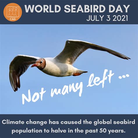 World Sea Bird Day 2021 | CAG