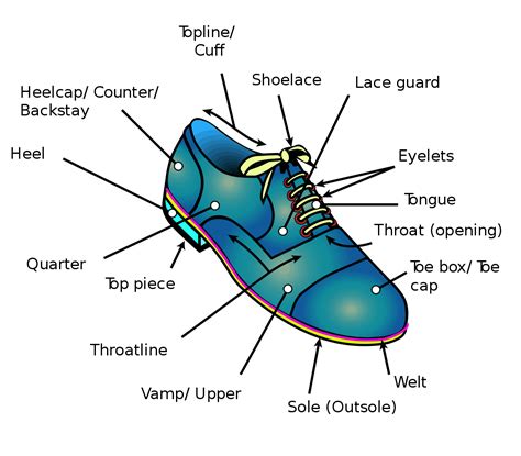 Parts Of A Dress Shoe at Barbara Eley blog