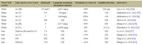 Bamboo biochar as a sustainable technology to address arsenic pollution ...