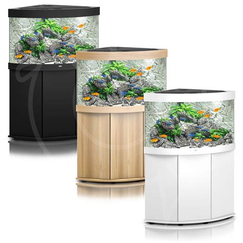 Corner Fish Tanks Aquariums