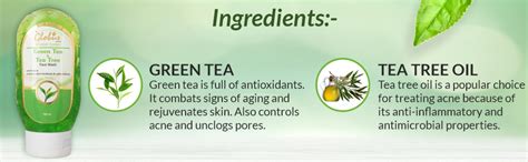 Globus Green Tea & Tea Tree Face Wash - 100 ml (Pack of 3) : Amazon.in ...