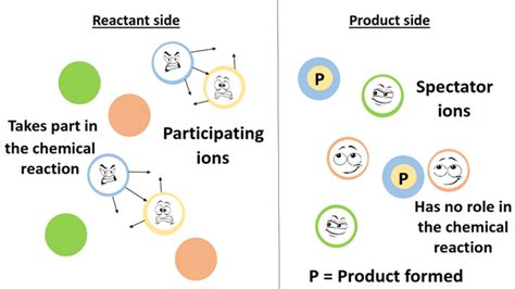 Image result for Net Ionic Equations Examples