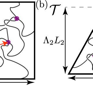 Image result for Polymer Structure Types