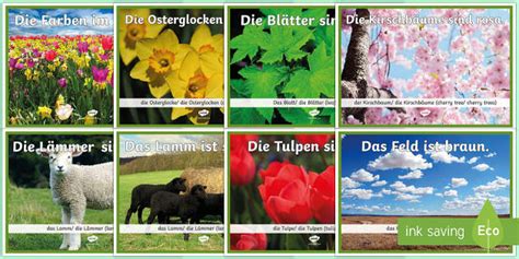 Colours in Spring Display Posters German