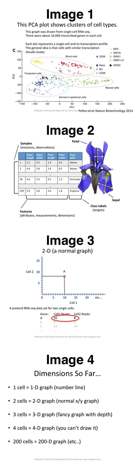 PCA in Biostatistics 的图像结果