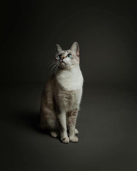 Wife+Bends+Over+In+Short+Skirt Photos, Download The BEST Free Wife ...