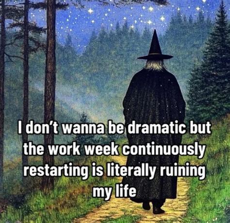 Men's Humor | You either hate cilantro or you put more cilantro on your cilantro. Which one are ...