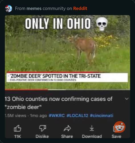 This Ohio-related meme was the second-most googled meme in the country ...