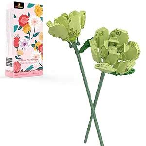 JMBricklayer Flower Building kit : Amazon.in: Toys & Games