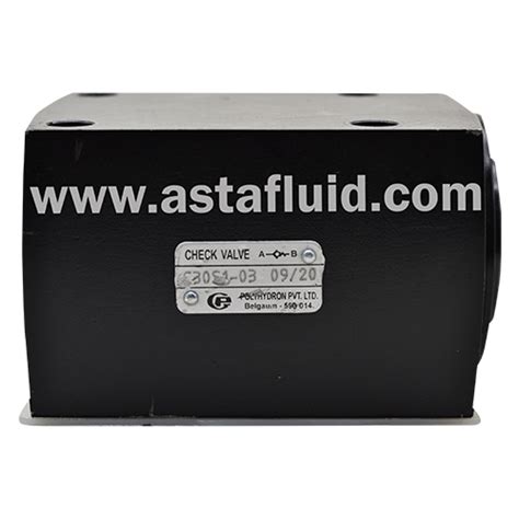 Buy Check Valves - Polyhydron Online at Best Prices | AstaFluid – astafluid